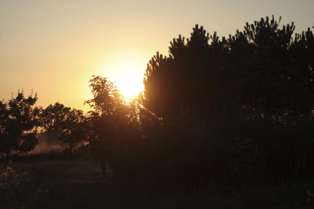Quistgaarden Bed & Breakfast Spjellerup Dış mekan fotoğraf